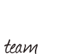 logo flinkteam